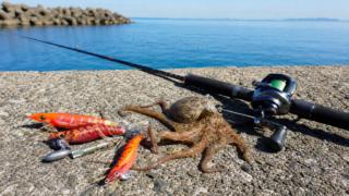 夏の堤防でのタコ釣りの仕掛けとタコエギ