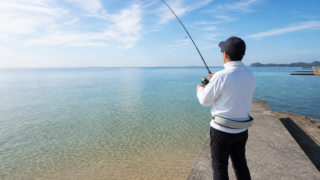 夏の堤防でちょい投げ釣りを楽しむ様子