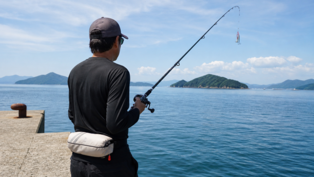 夏の堤防でタコエギをキャストするアングラーの後ろ姿、専用ロッドを手に瀬戸内の海を望む情景