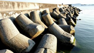 瀬戸内の堤防の足元に並ぶ消波ブロック帯と、その隙間に差し込む夏の朝の光