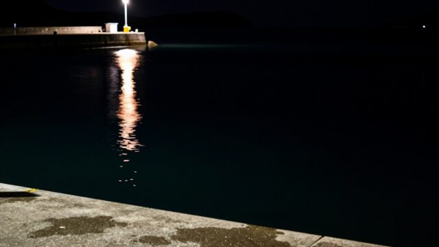 夜の瀬戸内の漁港。常夜灯の光が岸壁際の水面に落ち、明るい部分と暗い部分の境目ができている様子を、水面すれすれのローアングルから寄りで写した写真