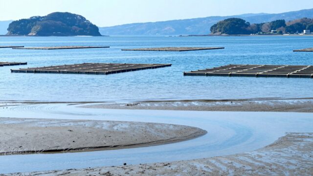 日中の瀬戸内。潮が引いた干潟の水際と、沖に整然と並ぶカキ養殖の筏を、水平アングルから広く見渡した引きの風景