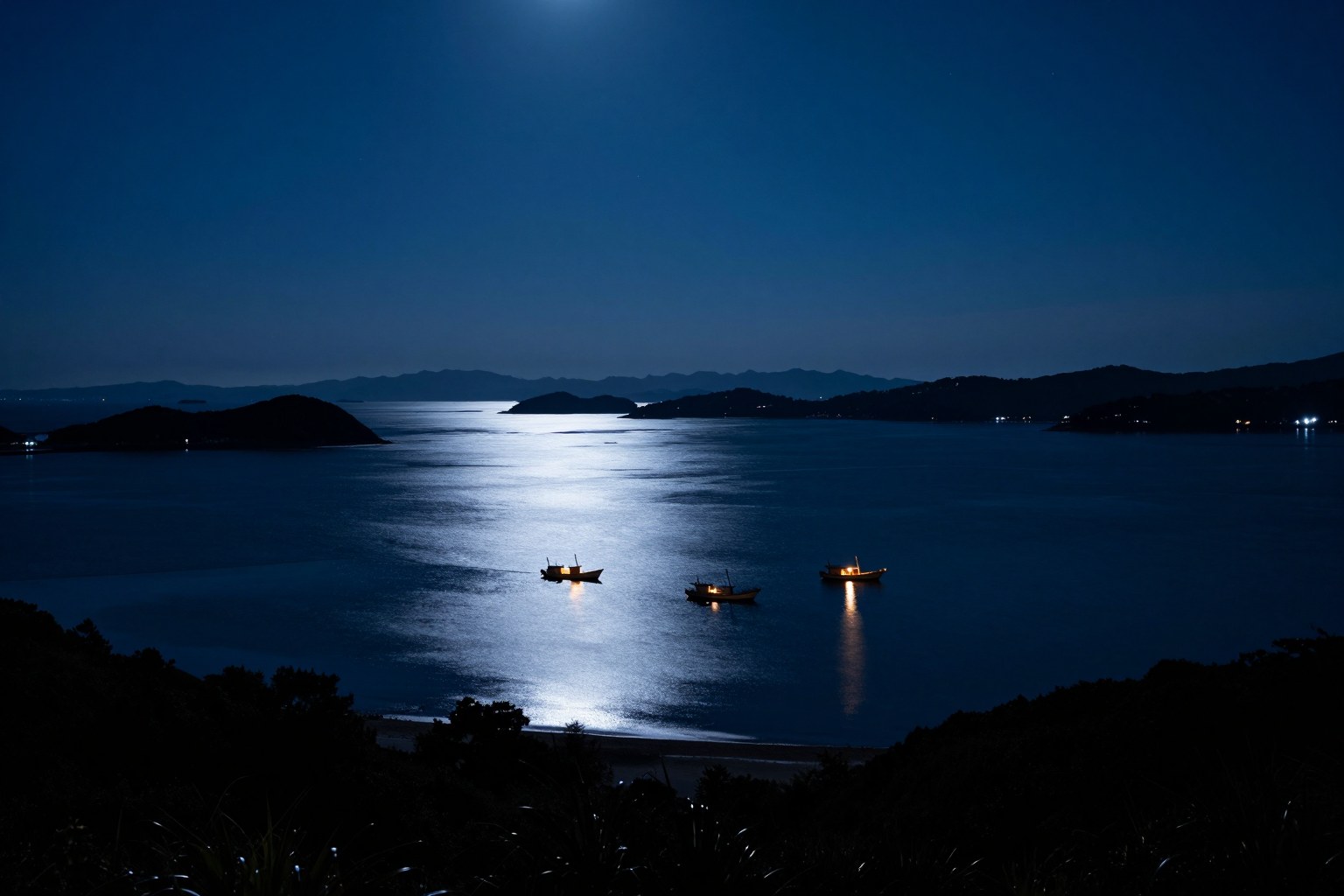 夜の瀬戸内海を高い位置から見下ろした引きの風景。停泊する漁船の灯りと月明かりの海面、遠くに島影